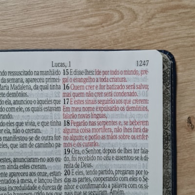 image_f30df306-5bf5-4793-803e-c2e71ee17edc