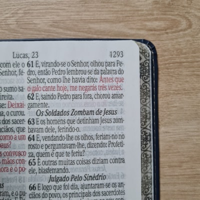 image_8c1970a2-2900-401c-b91d-df1e16b11f96