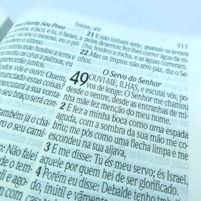 image_10e63d7b-e64d-404e-9d8f-73ad75e2d3e3