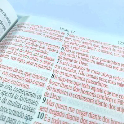 image_b7fa975d-cf8f-420f-a890-6f47934168ed