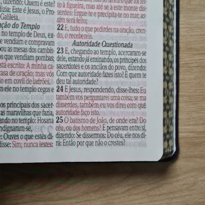 image_36681ecb-e1da-4a1c-92c7-fc8fe5d30026