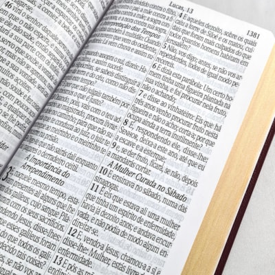 image_71a31dbe-5c3a-4245-9ee4-ac27670e7712