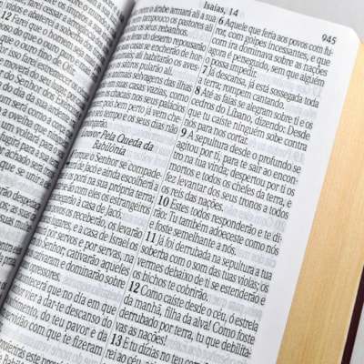 image_b7669307-8433-4fa2-bacc-46522d8b2baf