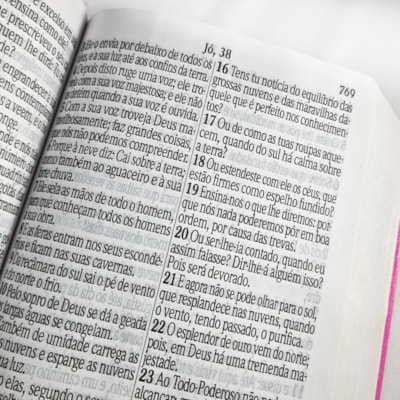 image_9992dd31-50e0-4fba-86fc-87b3eb484df0