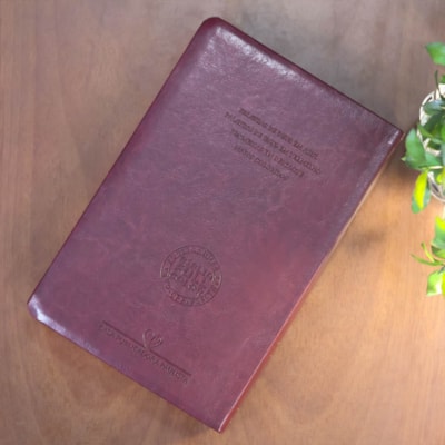 image_b20ad72e-fe2c-4962-9d6f-79d2ae3c53e2