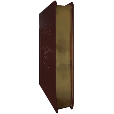 image_f7ac73a3-ea54-47db-893e-5a8c6b694b9d