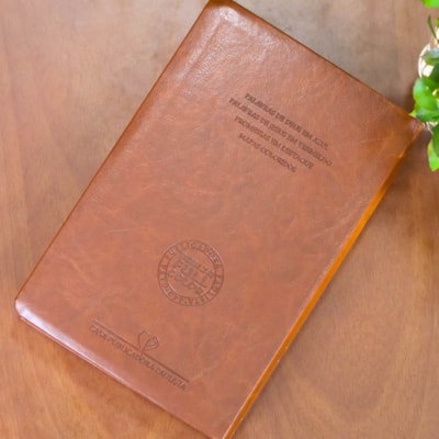 image_26a6447a-f7fe-467c-a554-560358e51130