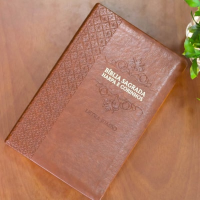 image_6d294fd5-137e-4eb2-99d9-158341064c8f