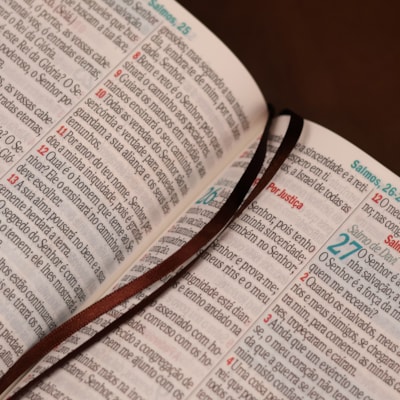 image_1e66570a-d680-4425-86c0-c867ffcfeb28