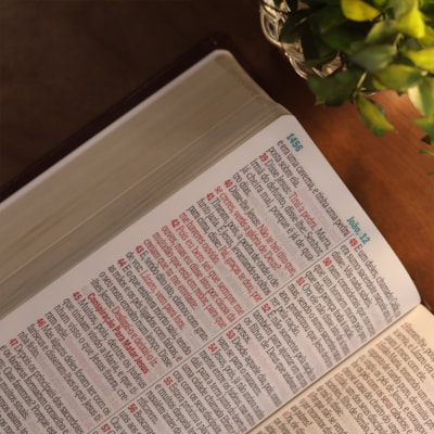 image_f281abb9-7bca-444e-a688-8d72b4ff4def