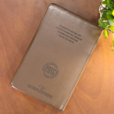 image_9a902780-7ae9-49c5-8108-6a97f0aaa4c4