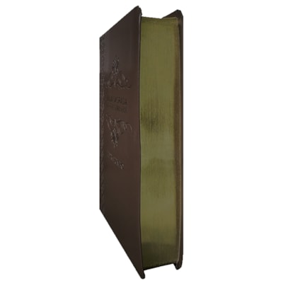 image_bb8ad82c-5bfe-45ad-8419-e716f51dd756