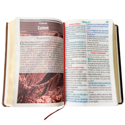 image_9648f793-d423-40e7-b5ec-c8c400bc434d