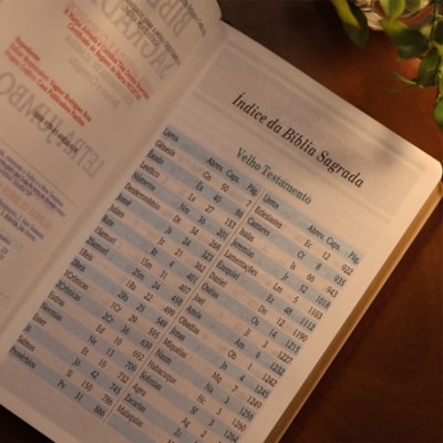 image_f06af2b3-5e55-46e7-b767-f79ad4f4b7de