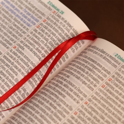 image_7a7830a0-1c41-42d6-bd80-594744c86dec