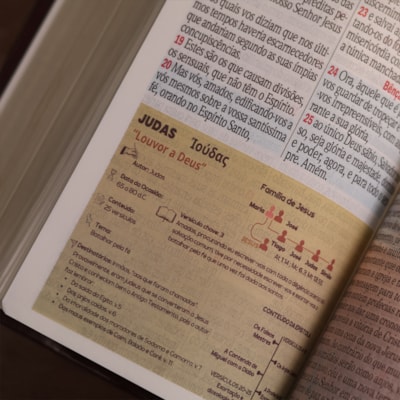 image_15b52103-1f7b-4e63-a578-c4c767fb3d43