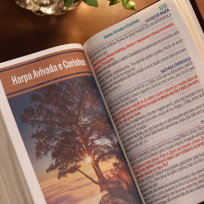 image_15c731d3-64e7-4d9b-be7c-a3e031909ebf