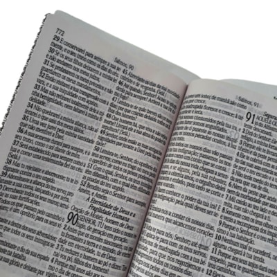 image_12f2d621-773c-4998-b7bb-4e7264821794