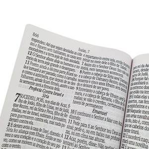 Bíblia Sagrada Letra Jumbo | ARC | Harpa Avivada e Corinhos | Capa PU Luxo Ramo Rosa