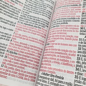 Bíblia Sagrada Letra Jumbo | ARC | Harpa Avivada e Corinhos | Capa PU Luxo Ramos Pink