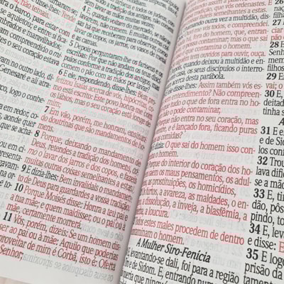 image_5c446b09-1072-4680-9e54-878d0fd79582