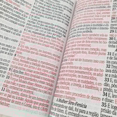 image_e56fdbdd-885f-4ca1-ae43-1ece874c68bd