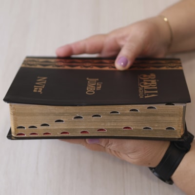 image_9ff87399-0d1e-4a50-a747-3a3f67d89608