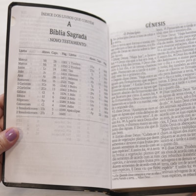 image_72ceab7b-18fa-4c4d-ac7b-e17ebdeebe11