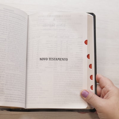 image_95227c7c-5521-4c70-bdb9-7bcc543bbdae