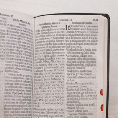 image_ba9e4696-f868-41cf-a7e9-09bf4d64c4bb