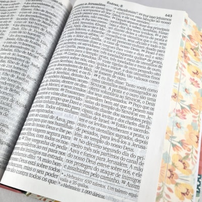 image_2c4ac43b-68f3-4fd2-81cd-8256039167e9