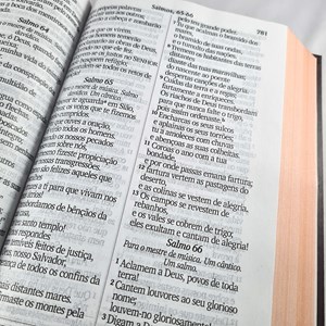Bíblia Sagrada Letra Jumbo | NVI | Capa Dura Leão Figura