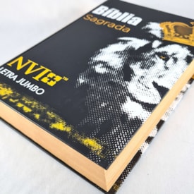 Segunda imagem do produto Bíblia Sagrada Letra Jumbo | NVI | Capa Dura Leão Rei