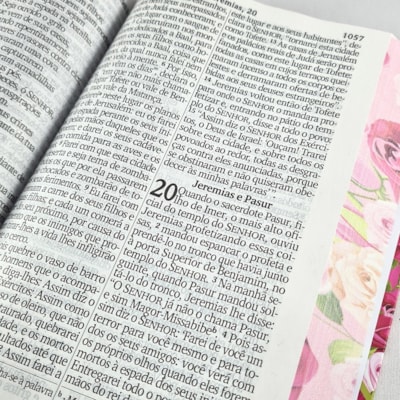 image_3b5c5061-f2ee-4785-ad00-e89ca46e11a9