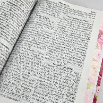 image_bcf64b62-2b94-4b28-87d4-f7576e23d9d1