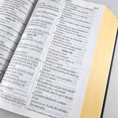 image_350eb721-cc7e-4355-8e3a-214bccf5658f