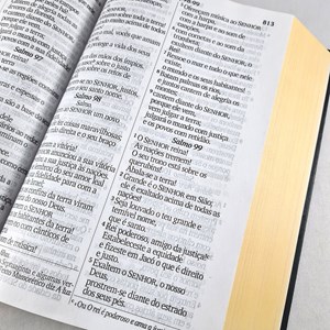 Bíblia Sagrada Letra Jumbo | NVI | Capa Dura Victoriana