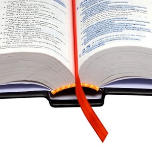 Bíblia Sagrada | Letra Maior | NTLH | Com Fonte de Bênçãos | Capa Skate Luxo