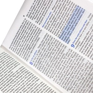 Bíblia Sagrada | Letra Maior | NTLH | Com Fonte de Bênçãos | Capa Skate Luxo