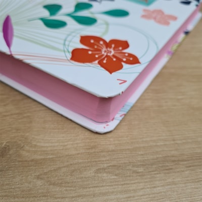 image_5bbd1b9b-5a4c-4e78-bf13-7d20f9544160