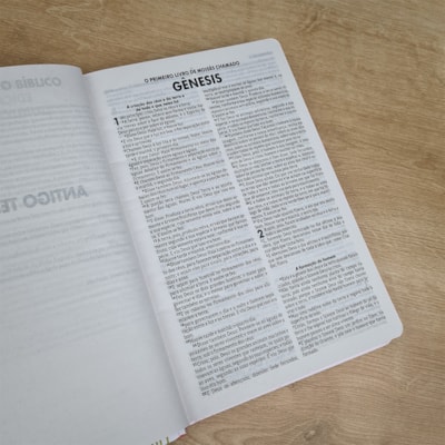 image_12ae15a0-a303-4581-b9e9-8e314ac7f806