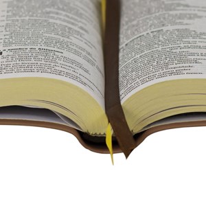Bíblia Sagrada | Letra normal | NAA | Capa Luxo Caramelo