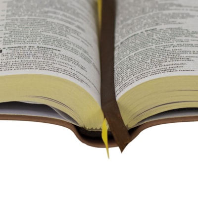 image_4fa62df5-2209-4379-b0c3-0e803a5db9cf