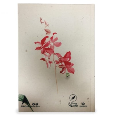 image_662e3834-9ddf-4dcc-ad5f-107171cbf7ea