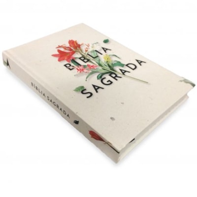 image_2b768d82-e37a-4903-b2dc-1a4a3cca1f12