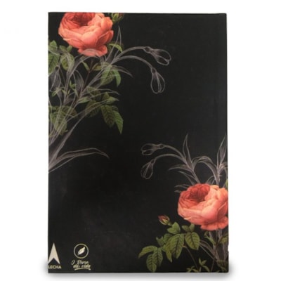 image_48488c67-b15f-4aea-bf69-29611caba1c3