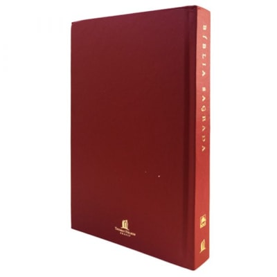 image_f9576a5d-9281-4b88-96a8-fe4570fd176d