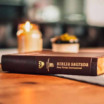 image_49c889f7-c499-4ded-aae7-7f40704f60b7