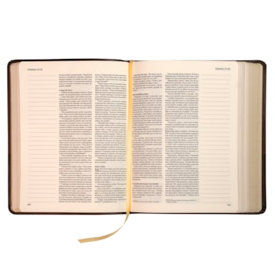 image_86c0309e-a7e9-497f-bd83-ff40c5ead126