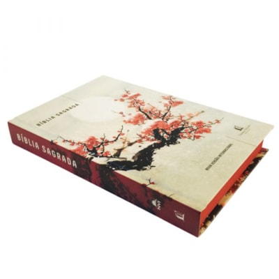 image_4b33ac10-08f9-4266-bb3f-f435a4be7b45